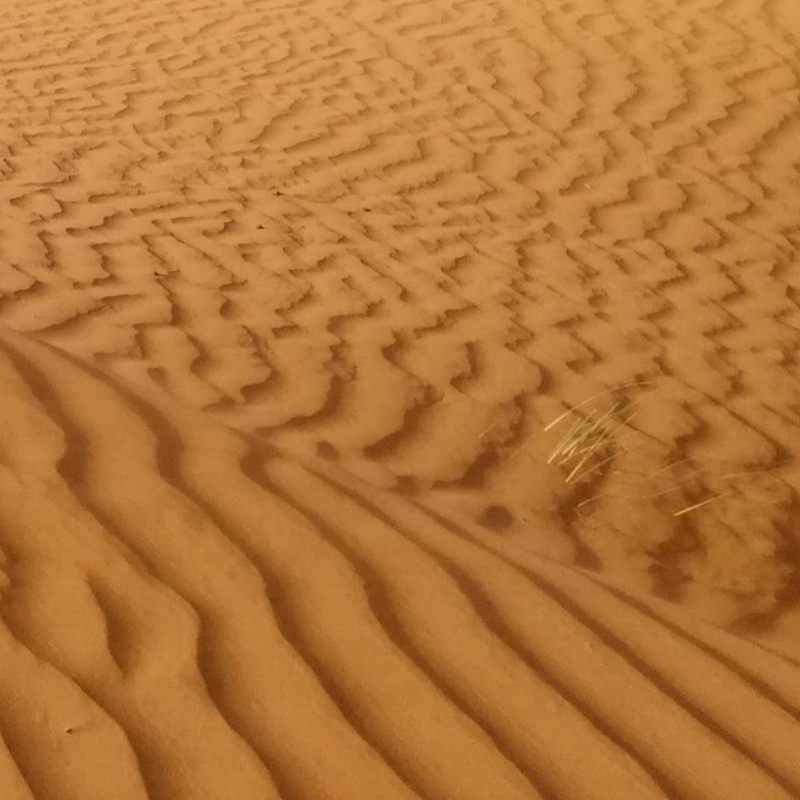 Inspiratiefoto voor de Nautilus Imprint trouwringen door Goudsmederij Goedbloed: Golvende zand textuur.