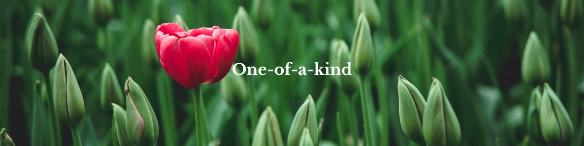 ne-of-a-kind collectie handgemaakte exclusieve juwelen waar er maar 1 van is. Handgemaakt en duurzaam door Goudsmederij Goedbloed